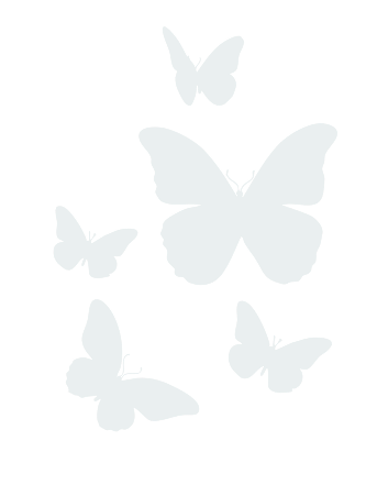 Butterfly Motif